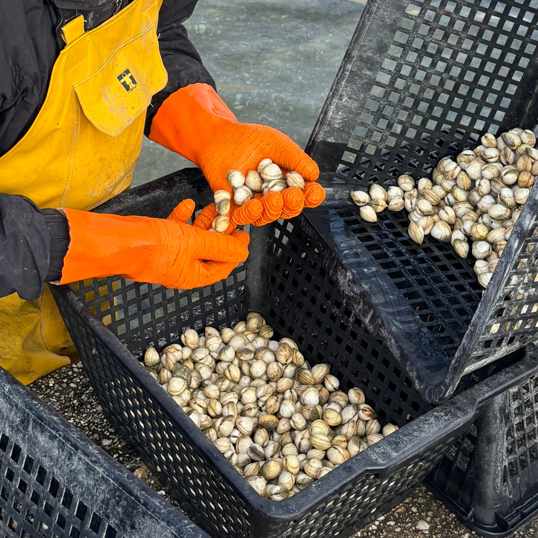 1 rs l'huitre corcaud (publication facebook) 3