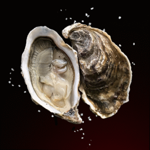 huîtres creuses n°0