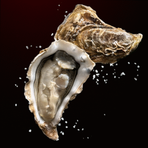 huîtres creuses n°1