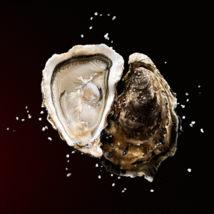 huîtres creuses n°3