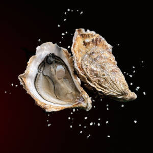 huîtres creuses n°4