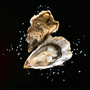 huîtres creuses n°5